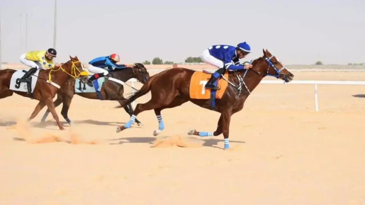 بطل الميادين.. خيال واحد يحصد لقبين في سباقات فروسية الأحساء بنتيجة مذهلة